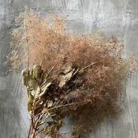 Grosir Satu Atap untuk Dekorasi Pernikahan dan Rumah, Tanaman Asap Awet Alami untuk Aksesoris Florist