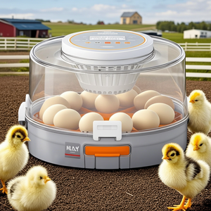 Incubadora de Huevos Automática de Plástico Moderna y Lujosa con Capacidad para 12 Huevos para Pollos, Patos y Aves - Product Image 1