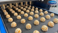 Machines de fabrication multifonctions automatiques pour petites entreprises : machine à biscuits salés, machine à biscuits de riz