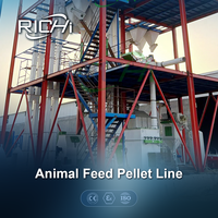 RICHI Usine de production de granulés d'aliments pour animaux, poissons, volailles, bétail et poulets, capacité 3-4 T/H, à vendre
