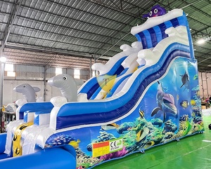 Toboggan aquatique gonflable de qualité professionnelle pour parcs aquatiques et campings - Product Image 5