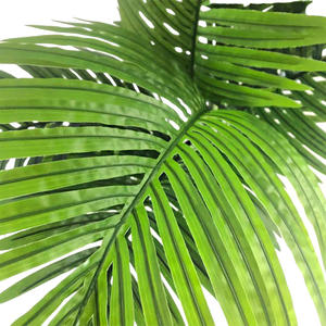 Plante artificielle décorative <span class=keywords><strong>en</strong></span> plastique Areca & <span class=keywords><strong>Phoenix</strong></span> <span class=keywords><strong>palmier</strong></span> <span class=keywords><strong>en</strong></span> <span class=keywords><strong>Pot</strong></span>, vente <span class=keywords><strong>en</strong></span> gros - Product Image 6