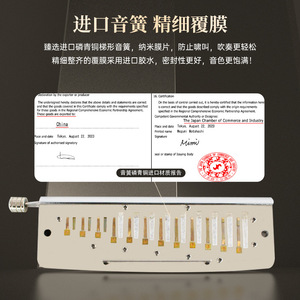 Armónica Cromática Feifan U48 de 48 Notas y 12 Orificios, Instrumento Musical para Principiantes y Avanzados con Caja de Regalo - Product Image 3