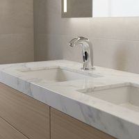Robinet de salle de bain sans contact à capteur automatique chromé avec robinet de salle de bain mains libres à alimentation enfichable, liste Cupc