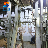 Équipement d'abattage automatique de volailles ZB, équipement d'abattage de moutons