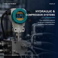 Transmetteur de pression et de température à double sortie Hanke HK-801GT 4-20mA + RS485 avec affichage numérique local IP66 Précision 0,25%FS