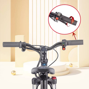 มอเตอร์บาลานซ์ขนาด20นิ้วสำหรับเด็กมอเตอร์600วัตต์แข็งแรงมากขึ้นสไตล์ fxb - Product Image 4