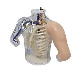 SY-N03610 इंजेक्शन मॉडल ऊपरी बांह का पता लगाने चेतावनी प्रणाली के साथ इंट्रामस्क्युलर इंजेक्शन अभ्यास सिम्युलेटर - Product Image 2