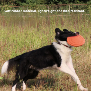 Disco Volador para Perros Joysing, Juguete de Entrenamiento para Cachorros, Disco Ligero, Suave y Flotante para Perros Pequeños y Medianos, para Entrenamiento Deportivo al Aire Libre - Product Image 3