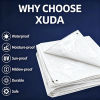 Film de paillage agricole de haute qualité de marque XUDA, double couche blanche en LDPE, couverture imperméable, fabrication Shandong