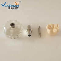 Modèle d'implant dentaire stéréoscopique Dents et modèle dentaire Modèle d'implant dentaire pour les applications en sciences médicales