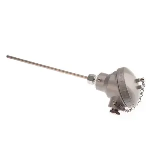 Sonde de température thermocouple WZP2-231, enregistreur de température <span class=keywords><strong>double</strong></span>, résistance thermique, longueur de la sonde 6x200mm, film mince importé - Product Image 2