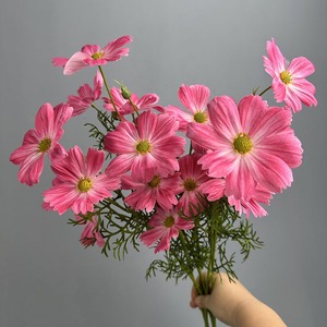 New Desgin <b>Artificial</b> Galsang Silk Cloth <b>Artificial</b> Cosmos <b>Flowers</b> Multiple Colors <b>for</b> Room Decor Desk Spring <b>Garden</b> Party - Product Image 4