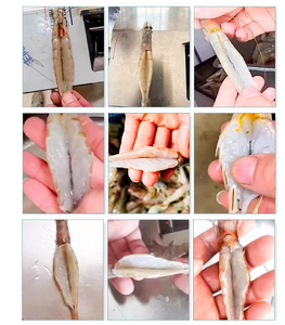 Mesin pengupas dan pemotong punggung udang otomatis, baja tahan karat 304 komersial pemotong pengupas langsung dengan mesin 220V - Product Image 3