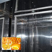 Automatische Voedsel Dehydrator Banaan Chips Mango Groente Droger Fruit Drogen Machine