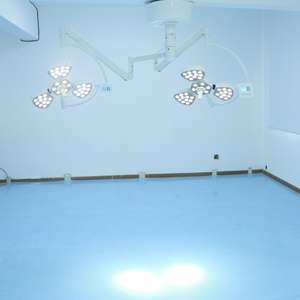 VET 애완동물 장비 수술용 <span class=keywords><strong>LED</strong></span> 의료 수술 무영등 <span class=keywords><strong>LED</strong></span> 수술 검진등 벽걸이 천장형 - Product Image 5