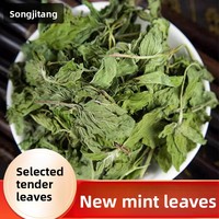 Feuilles de menthe séchées aux herbes chinoises, Mentha sans additifs, vertes, propres et saines, infusion d'herbes du Guangxi pour le thé et les cocktails
