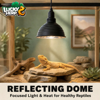 Dôme rond en aluminium LuckyHerp de 8,5 pouces pour ampoule UVB, écologique, prise EU/UK/JP, certifié CE ISO ROSE PSE pour reptiles