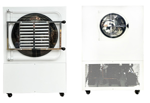 Máquina de Secado por Congelación al Vacío Industrial de 18 Bandejas, 5m2 -70, 60-70kg, para Frutas, Verduras, Manzana, Aguacate, Plátano y Carambola - Product Image 6