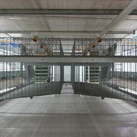 Cage à poules manuelle en acier galvanisé à chaud pour élevage avicole
