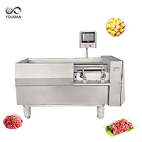 YouBan Industriële Vlees Snijmachine Multifunctionele Groente- en Fruitblokjesmachine