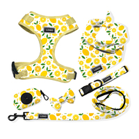 Harnais multifonctionnel 7-en-1 pour animaux de compagnie Combo Nylon durable sans traction Conception Logo personnalisé Remise en gros