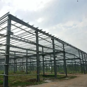 Nigeria market prefabricated steel structure workshop building