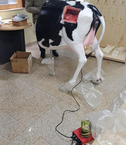 Modèle d'entraînement à l'insémination artificielle anatomique scientifique médicale Gelsonlab HSBM-534 pour bovins - Product Image 4