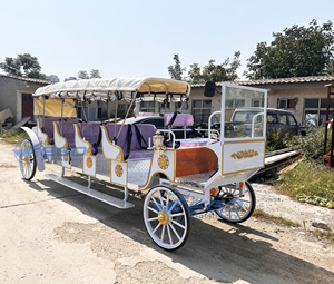 Carruaje Clásico de Princesa Real/Carruaje de Cenicienta para Bodas/Carro Eléctrico de Turismo Extendido en Venta - Product Image 3