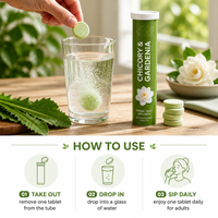 Comprimés Effervescents aux Plantes Chicorée Gardénia Pueraria Feuille de Mûrier Soie de Maïs pour l'Équilibre de l'Acide Urique et le Métabolisme Corporel Adulte 20