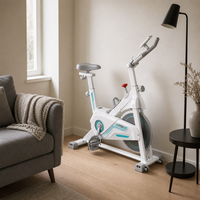 Vélo de spinning 3 couleurs ZBSP-6, directement d'usine, logo personnalisé, charge 120 kg, compact 91,5 cm, vélo d'exercice cardio pour la maison, OEM ODM