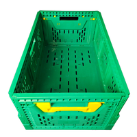 Caisses de légumes pliables légumes agricole en plastique pliable stockage stocké caisse ventilée pour la ferme
