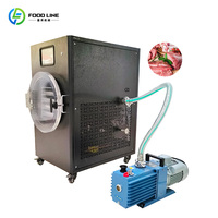 Mini-vriesdroogmachine voor thuisgebruik voor dagelijks bewaren van fruit en groenten. Kleine vriesdroogmachine.