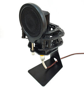 Teyun <span class=keywords><strong>2025</strong></span> OEM tùy chỉnh microphone đứng chất lượng cao Microphone đứng với âm nhạc chủ ghi âm đứng Microphone - Product Image 2