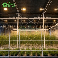 Serre hybride SINO PC+PU avec écran occultant motorisé pour la culture de plantes médicinales et la recherche agricole