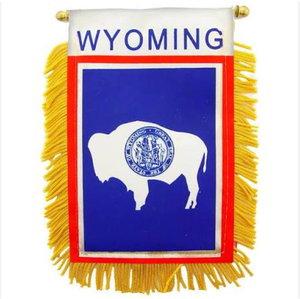 Bandera de <span class=keywords><strong>Wisconsin</strong></span> para colgar en la ventana, mini banderas para coche, decoración para espejo retrovisor con ventosa y bandera con flecos dorados - Product Image 2