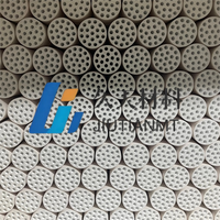 Filtre à membrane en céramique 20nm de purification de séparation de poudre nano chimique avec des composants de noyau de pompe de moteur de nanofiltration MFUF NF