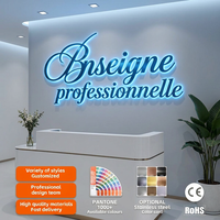 Enseigne Lumineuse 3D en Gros : Lettres LED pour Magasin, Logo de Boutique, Enseigne Extérieure, Logo Commercial 3D
