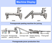 Volledig automatische industriële machine voor het wassen, schillen en sapwinning van granaatappels