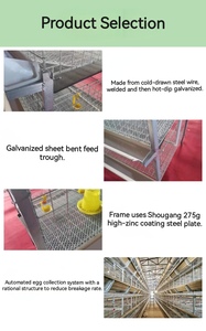 Yüksek verimli yumurta üretimi için ticari profesyonel sınıf yılında kanatlı ve tavuk kümesi için kümes hayvancılığı katmanlı kafes - Product Image 3