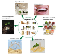 Offre Spéciale – Fil Dentaire Écologique au Charbon de Bambou, Nettoyage Interdentaire Profond, Saveur Citron Menthe, Fournitures d'Hygiène Buccale Quotidienne ODM