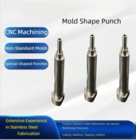 Punzón de Forma Especial Mecanizado por CNC Personalizado, Punzón de Precisión de Acero Inoxidable con Tolerancia de 0.005-0.03mm para Uso Industrial