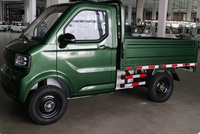 Camionnette électrique 72V 100Ah, vitesse de 55 km/h, mini-camion avec éclairage LED, caméra de recul et certification EEC