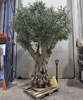 Arbre d'olivier artificiel classique, élégant et durable, en fibre de verre, pour décoration artistique, ornement de vitrine, 2,8 m, modèle OV Ho pour le Poisson d'avril