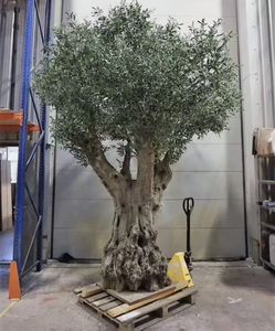 Albero di Ulivo Artificiale Classico ed Elegante in Fibra di Vetro, Decorazione Artistica da Esposizione, Ornamento 2,8m, Modello OV per il Giorno di Scherzi di Aprile - Product Image 1