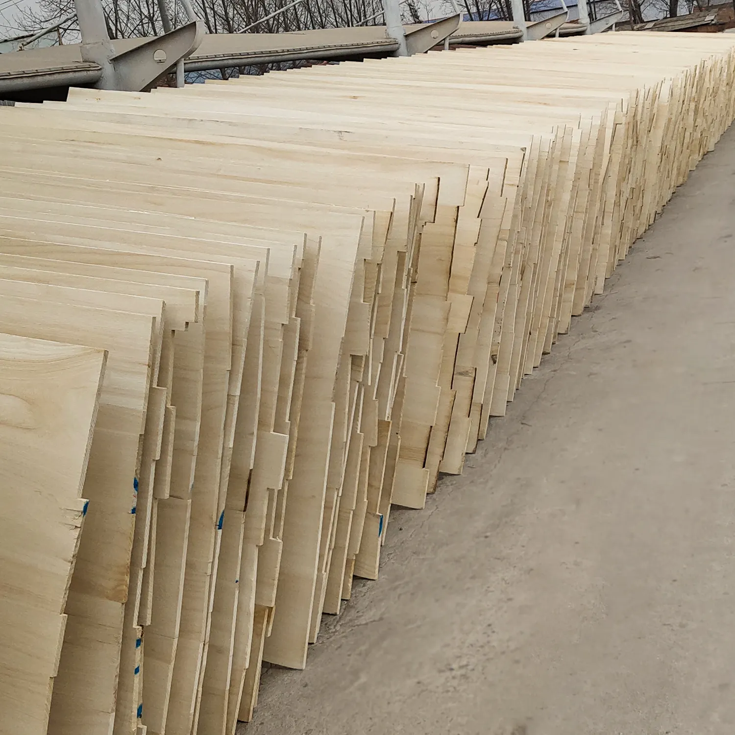 Venta de madera de Paulownia de la mejor calidad, madera de Paulownia en Australia, listón articulado para dedos