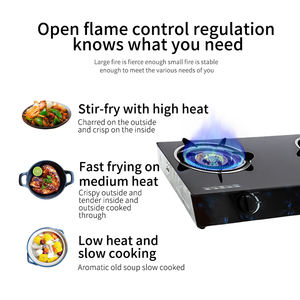 Prix compétitif plaque de cuisson en verre à gaz double brûleurs en fonte cuisinières de cuisine - Product Image 4