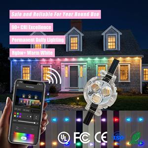 UCS2904 Permanent Outdoor Gemstone Christmas Holiday <b>Lights</b> IP68 Waterproof 3 Led Track <b>Point</b> <b>Light</b> Source - Product Image 1