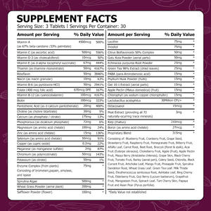 Comprimés de multivitamines véganes de haute qualité avec riboflavine pour soutenir l'énergie, la santé cérébrale, l'immunité, faciles à avaler - Product Image 2