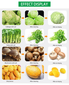 Línea de Procesamiento de Precisión Lulo SUS304 para Mercados de Frutas Especiales - Product Image 5